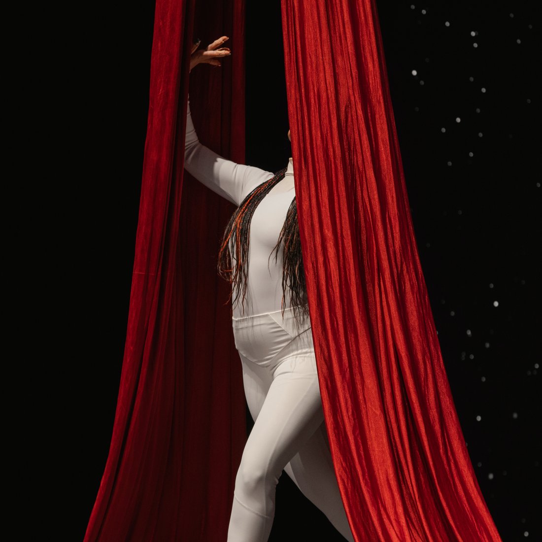 Seven Labours of Liberty — aerial silks